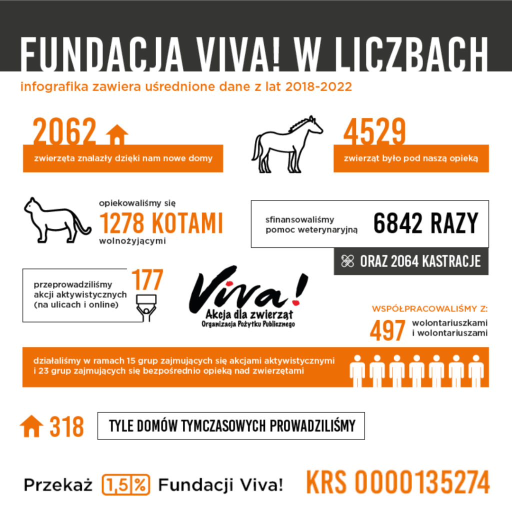 infografika fundacja viva pomoc zwierzętom w liczbach